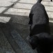 CACHORRO